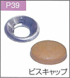 P.39ビスキャップ